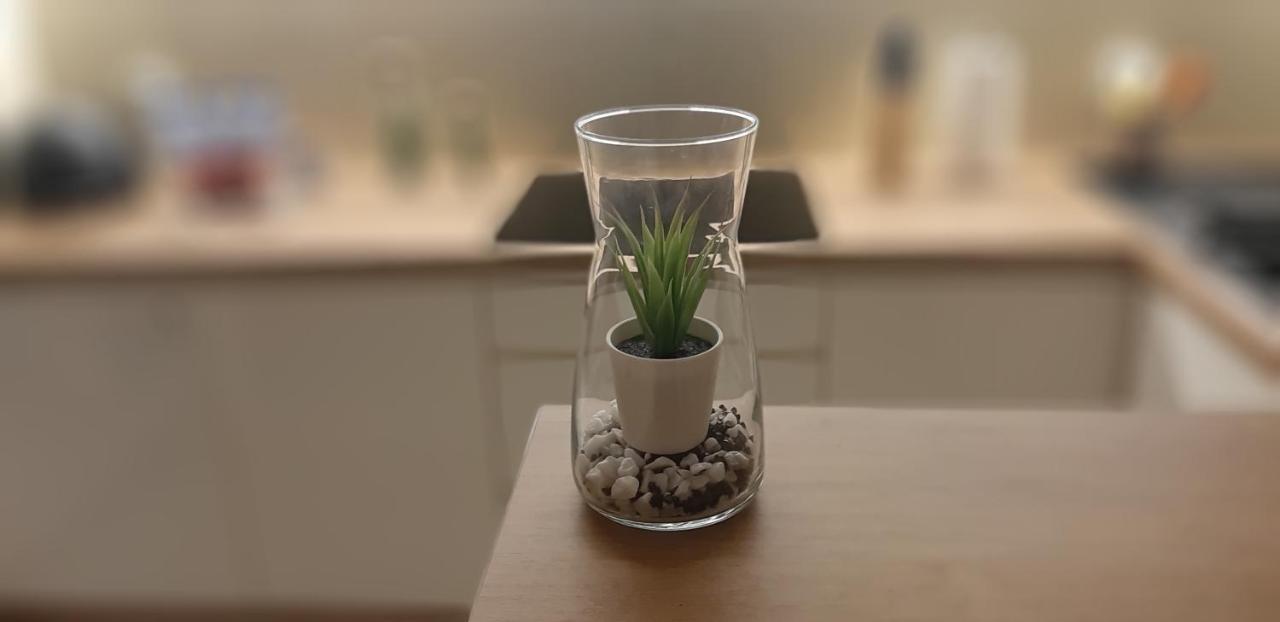 Apartment Cyrkoniowa *
